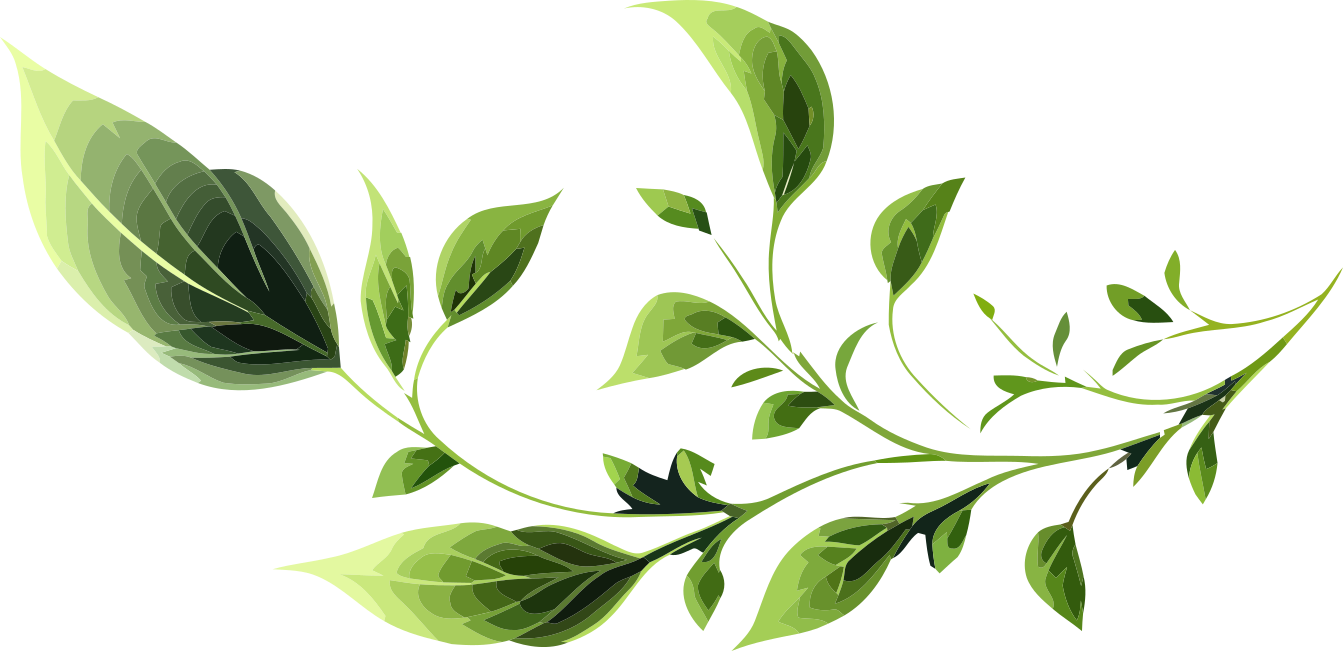 leafs