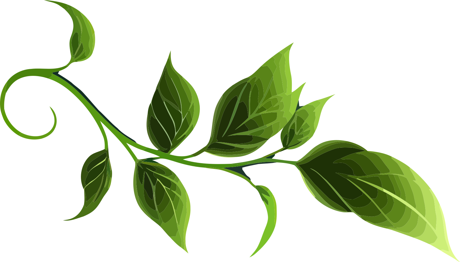 leafs
